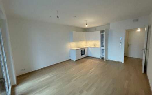 Neubau-Mietwohnung, Wien